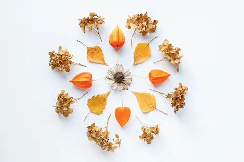 Family members coloring mandala art pages together at a table